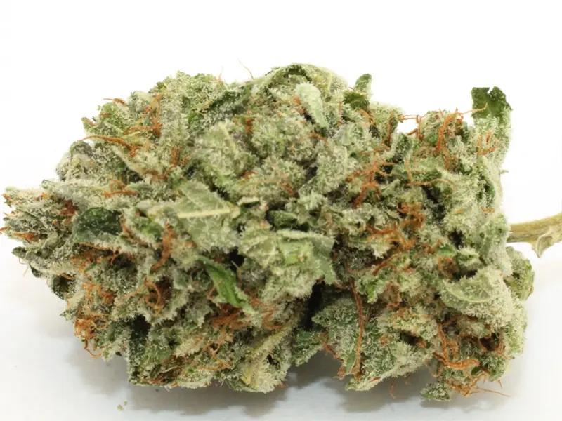 haze